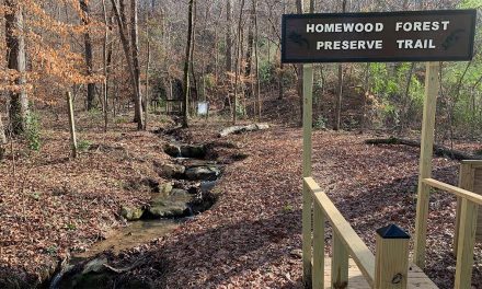 Homewood Forest Preserve
